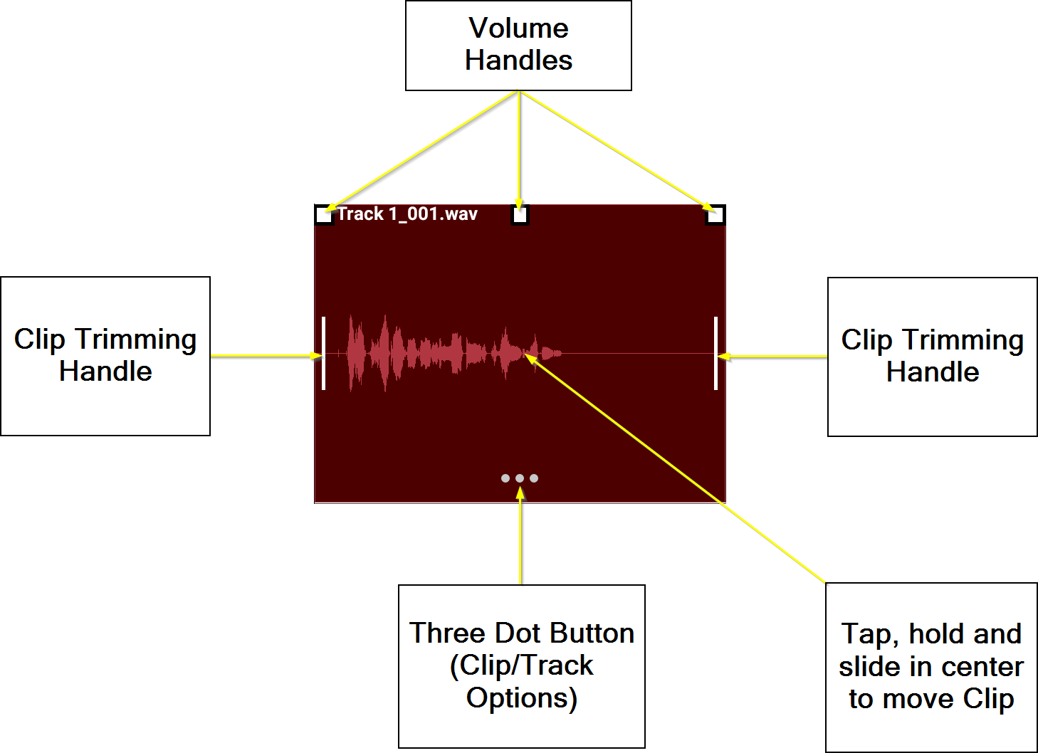 Audio and MIDI Clips